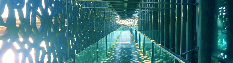 Reincarnation Experiment